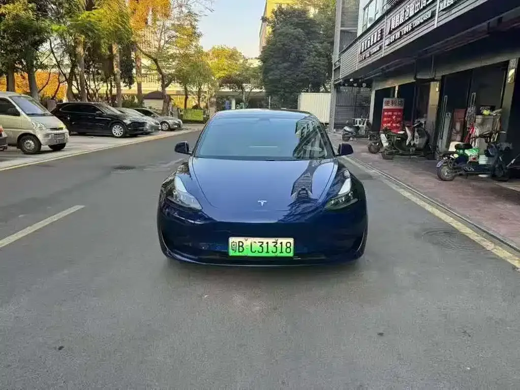 Tesla Model 3 2021 из CN, фото 6