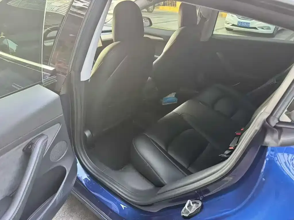 Tesla Model 3 2021 из CN, фото 3