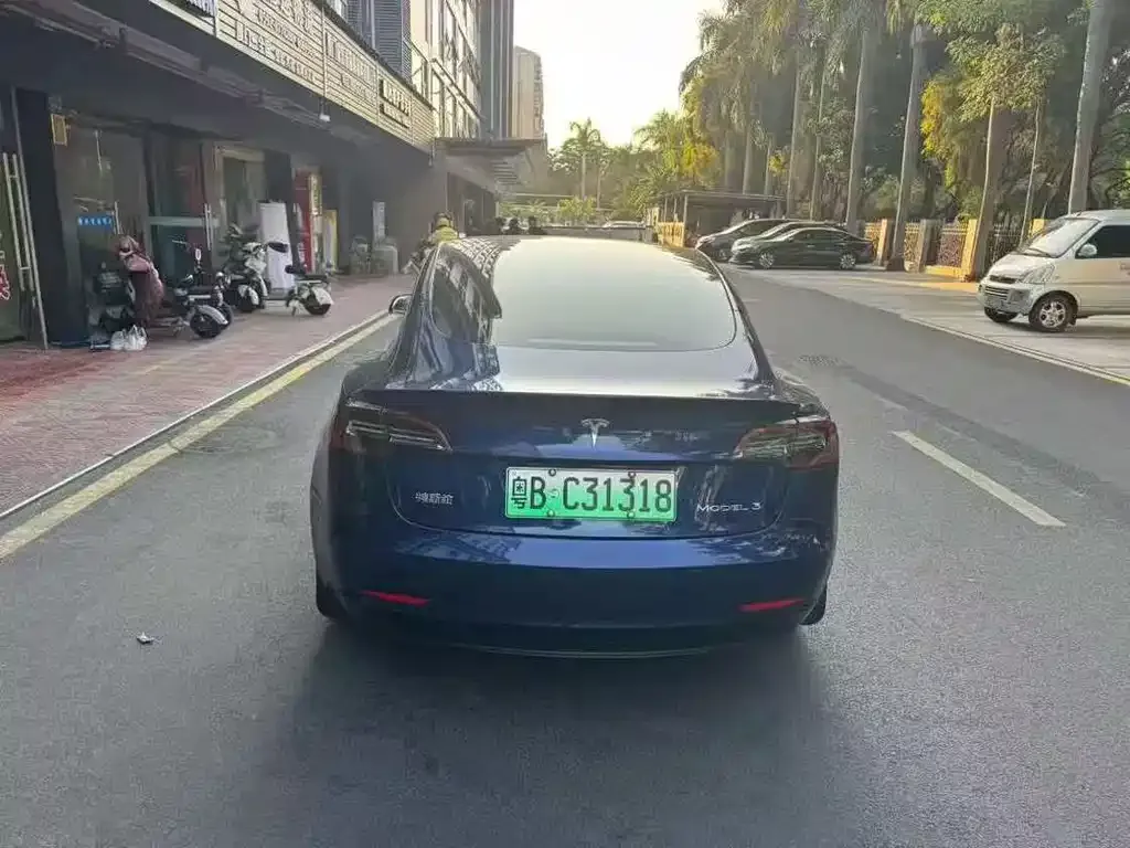 Tesla Model 3 2021 из CN, фото 5