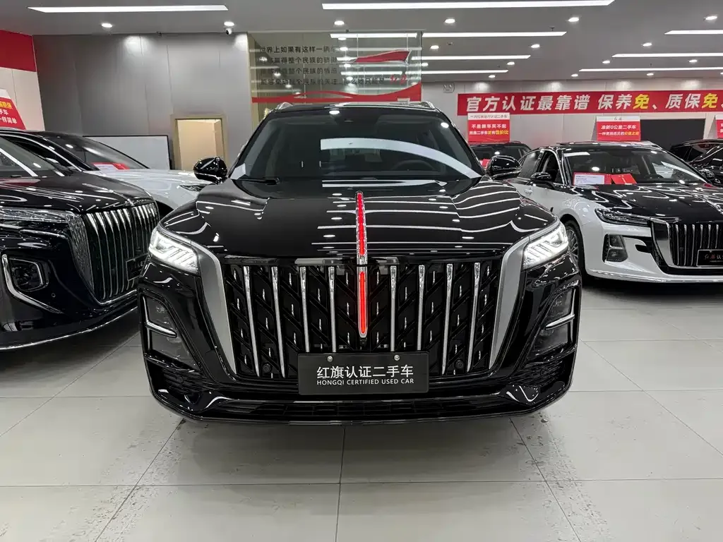 Hongqi HS5 2025 из CN, фото 6