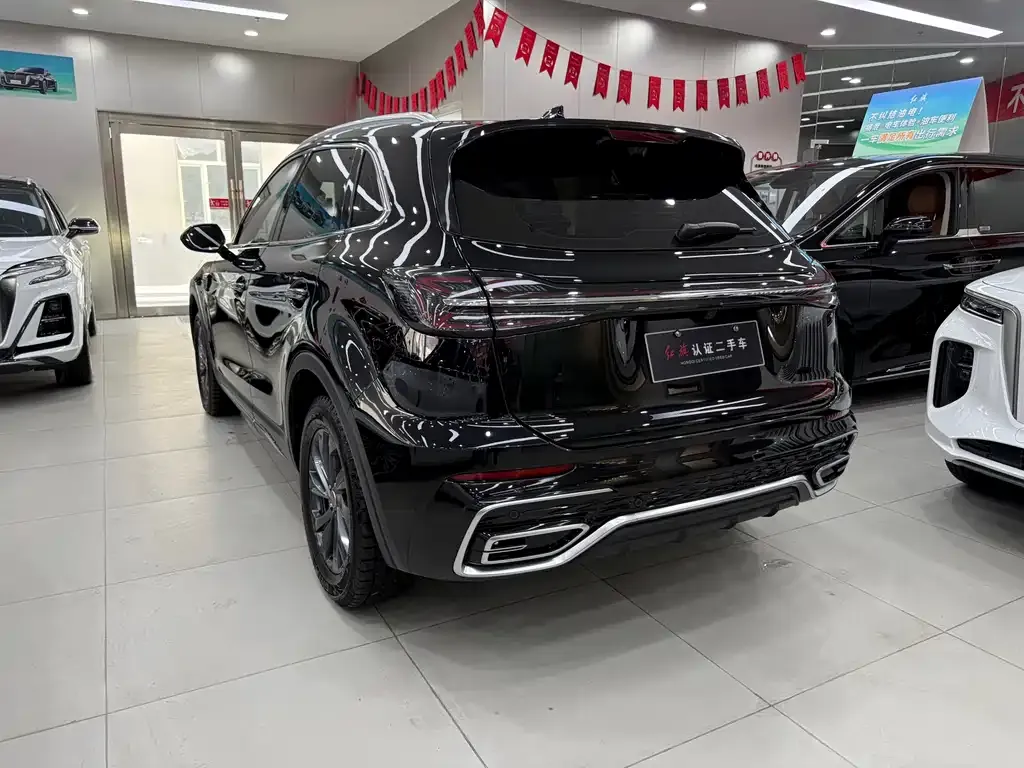 Hongqi HS5 2025 из CN, фото 9