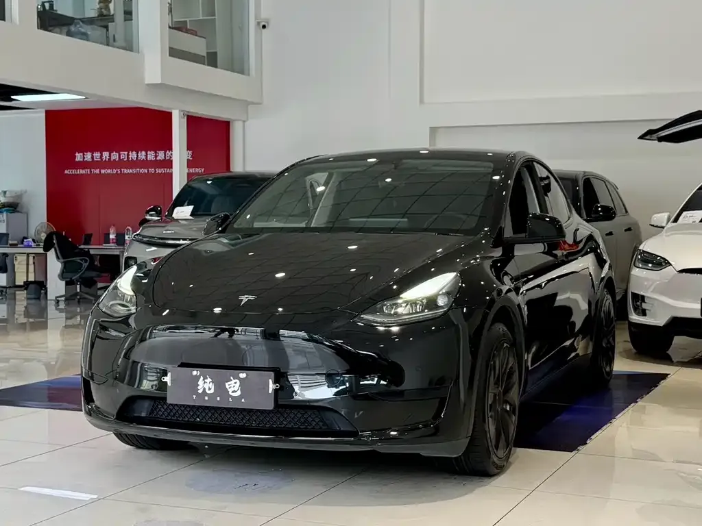 Tesla Model Y 2022 из CN, фото 1