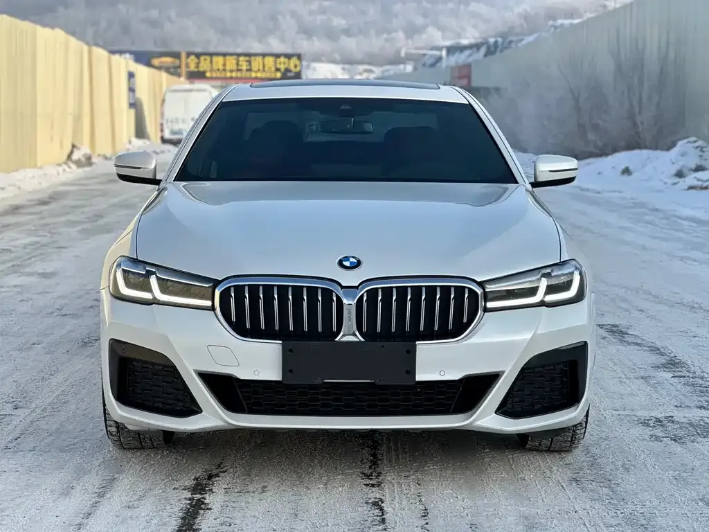 BMW 5 Series — фото 4