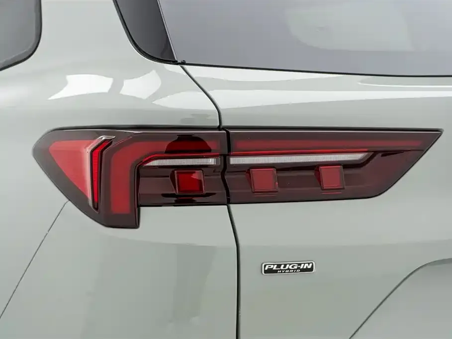 Ford Territory New Energy 2024 из CN, фото 2