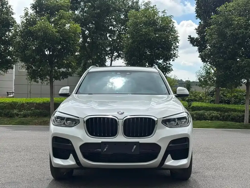 BMW X3 2021 из CN, фото 3