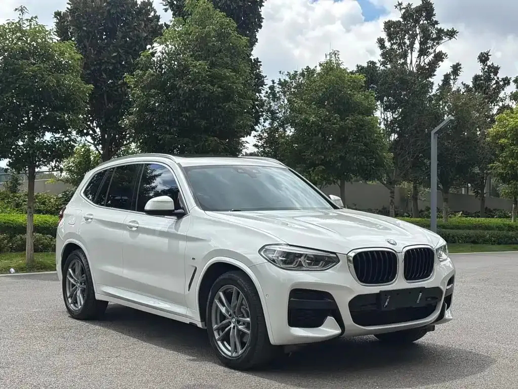 BMW X3 2021 из CN, фото 4