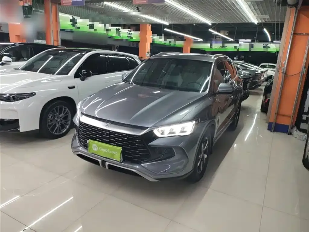BYD Pro New Energy 2023 из CN, фото 9