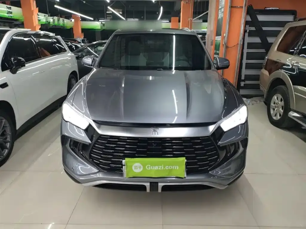 BYD Pro New Energy 2023 из CN, фото 3