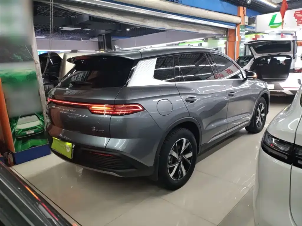 BYD Pro New Energy 2023 из CN, фото 4