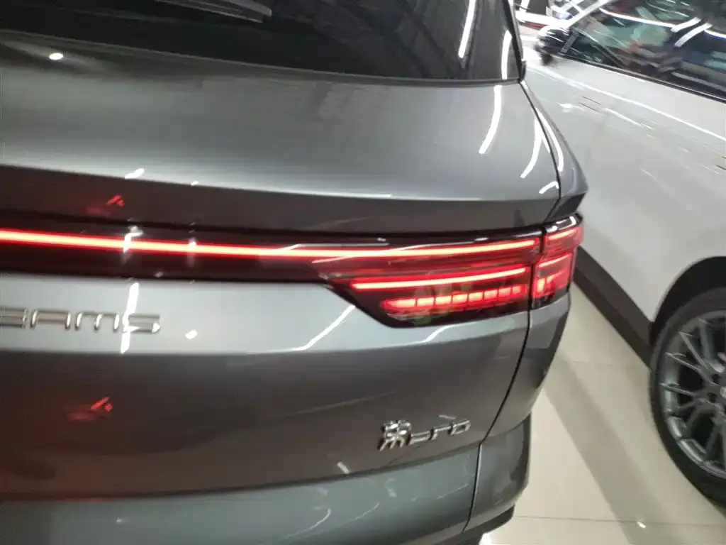 BYD Pro New Energy 2023 из CN, фото 2