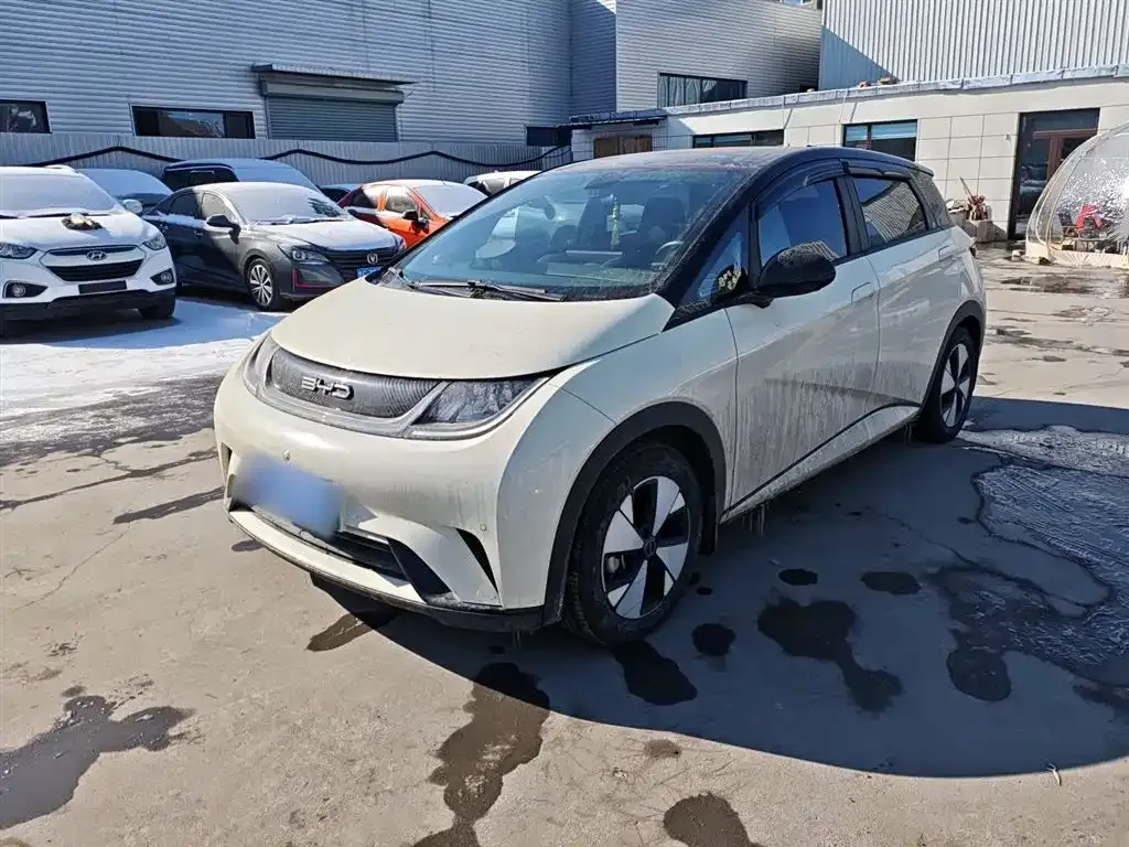BYD Dolphin 2023 из CN, фото 1