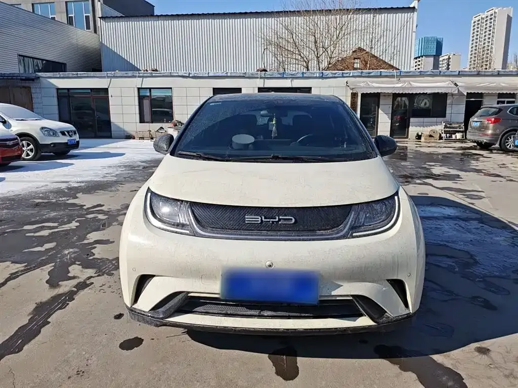 BYD Dolphin 2023 из CN, фото 8