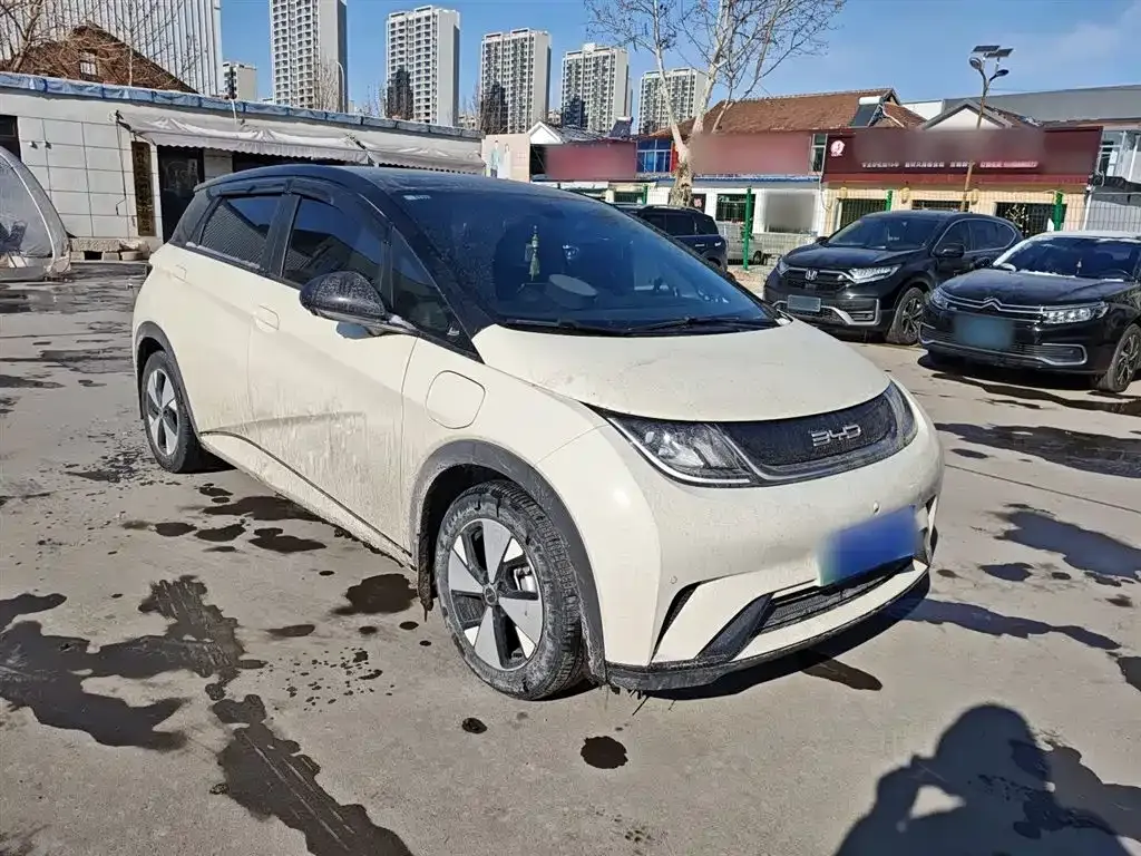 BYD Dolphin 2023 из CN, фото 7