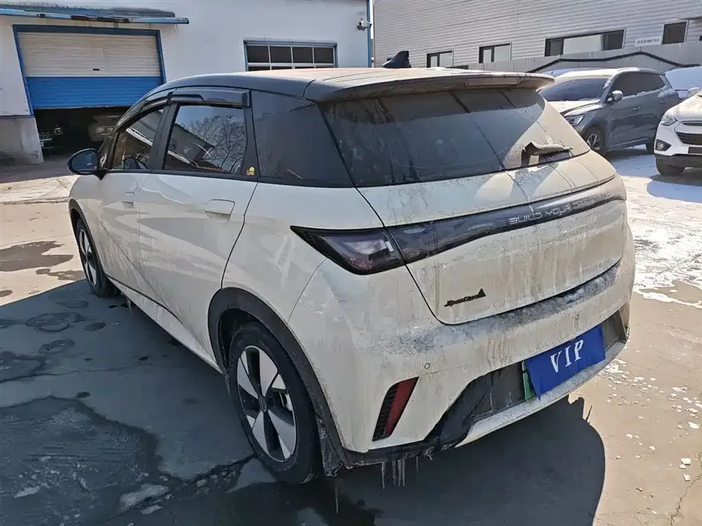 BYD Dolphin 2023 из CN, фото 2