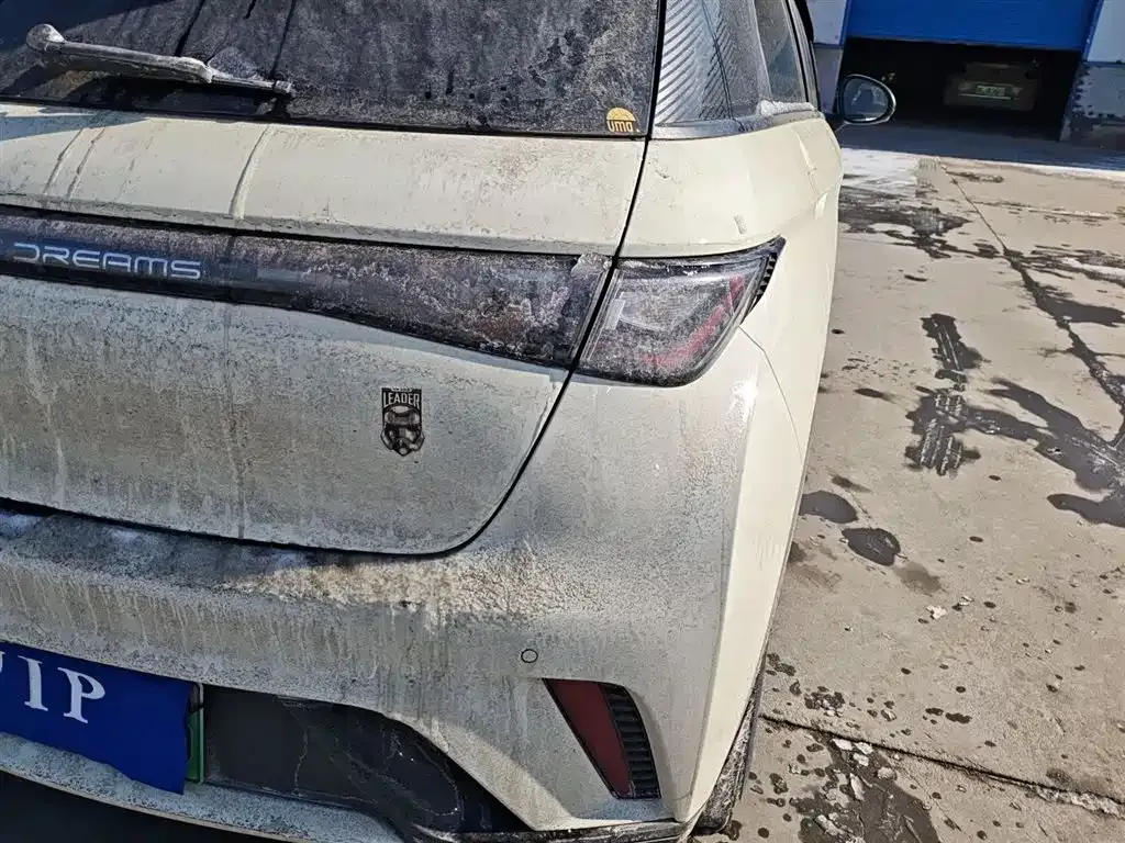 BYD Dolphin 2023 из CN, фото 4