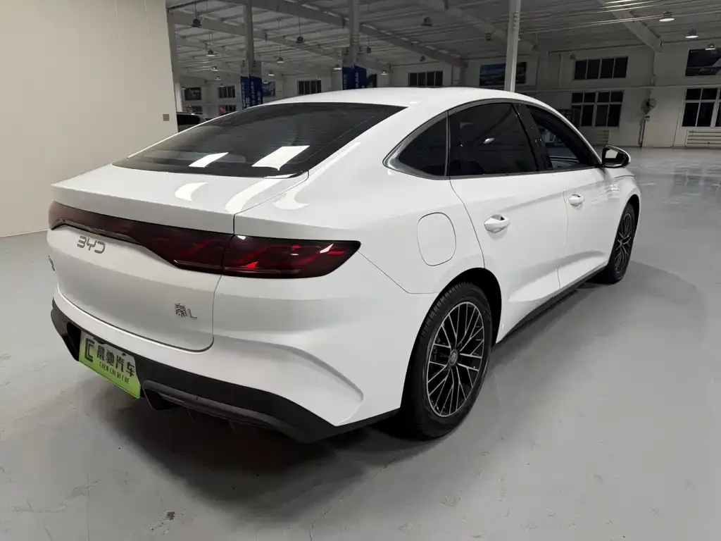 BYD Qin L 2024 из CN, фото 8