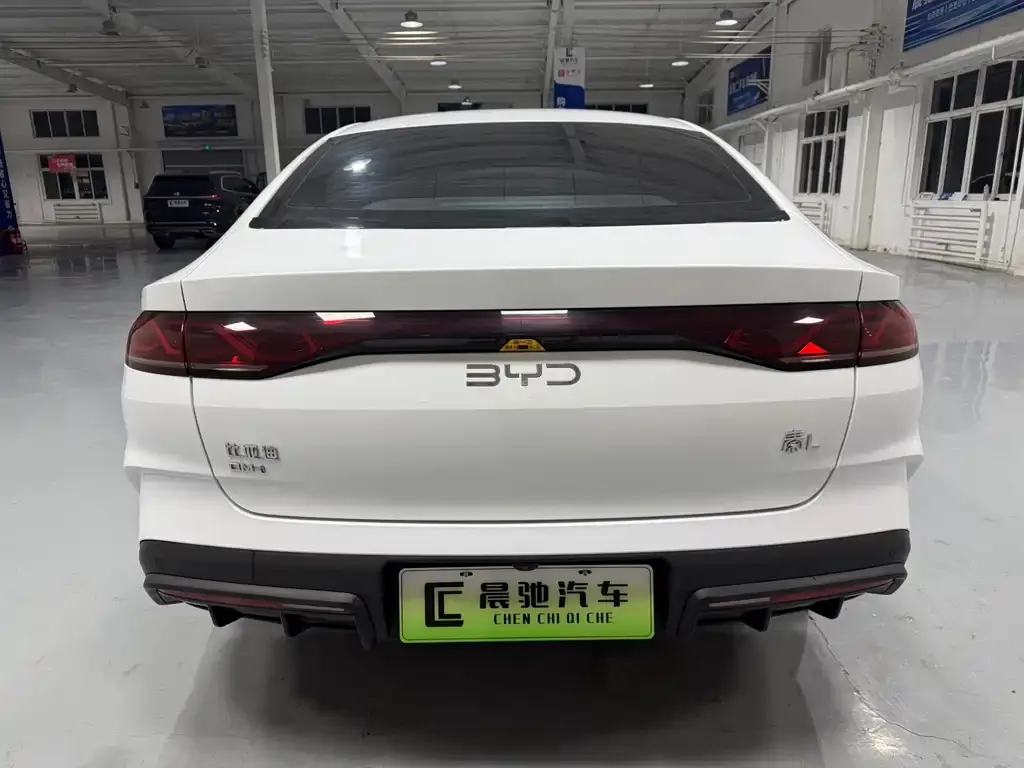 BYD Qin L 2024 из CN, фото 5