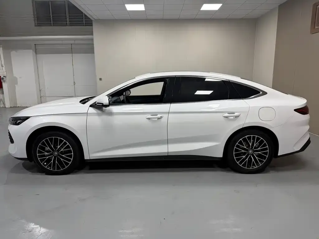 BYD Qin L 2024 из CN, фото 6