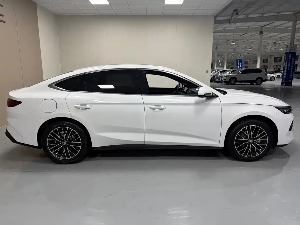 BYD Qin L 2024 из CN, фото 10