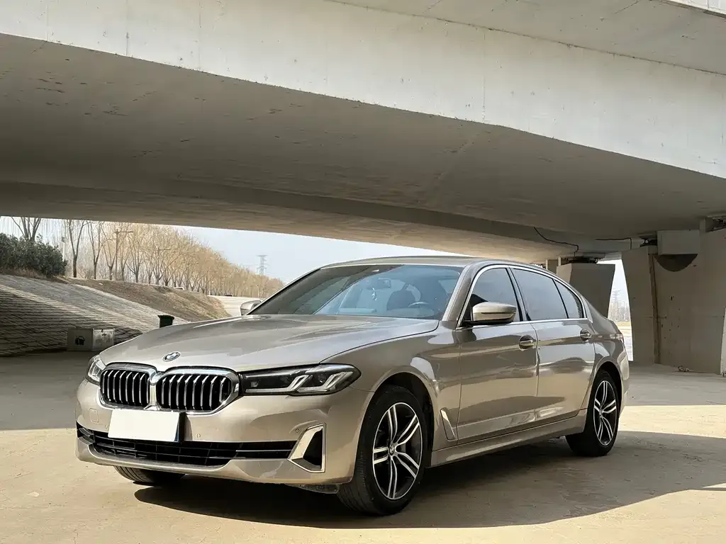 BMW 5 Series 2022 из CN, фото 1