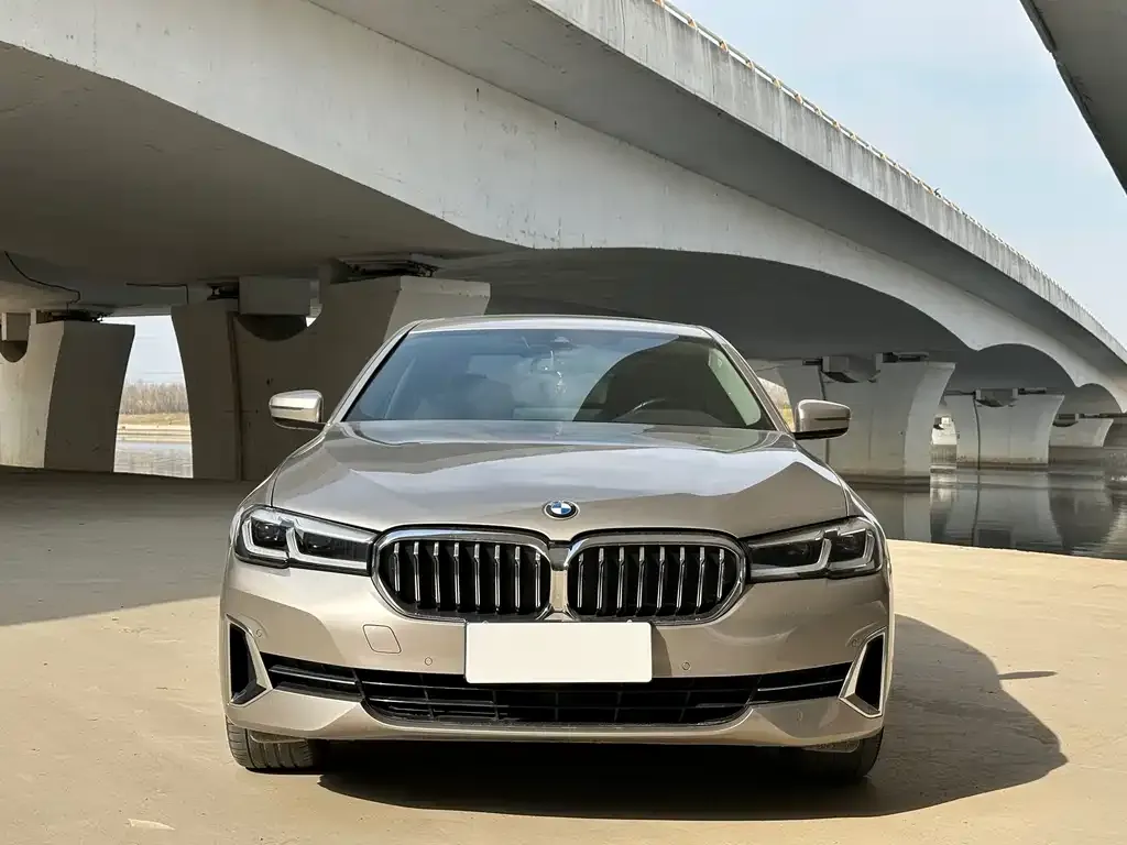 BMW 5 Series 2022 из CN, фото 8