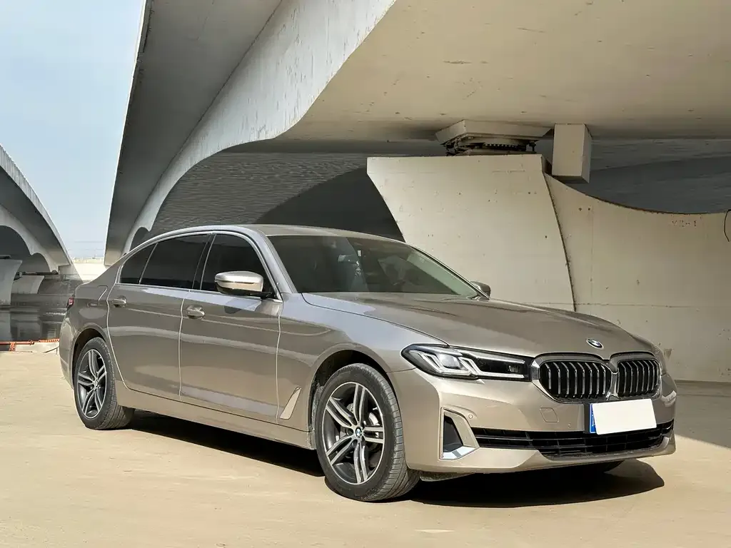 BMW 5 Series 2022 из CN, фото 2