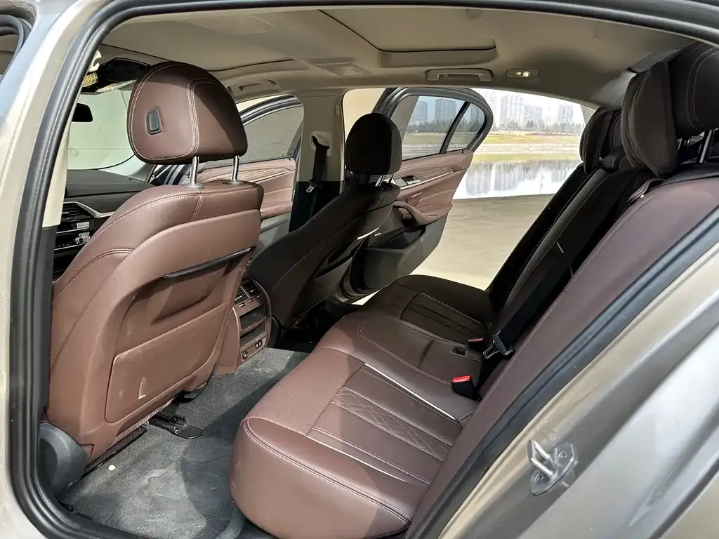 BMW 5 Series 2022 из CN, фото 7