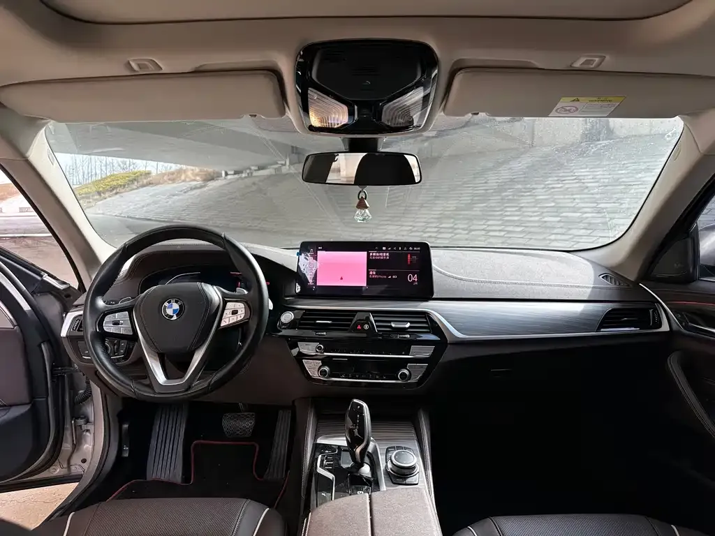 BMW 5 Series 2022 из CN, фото 9