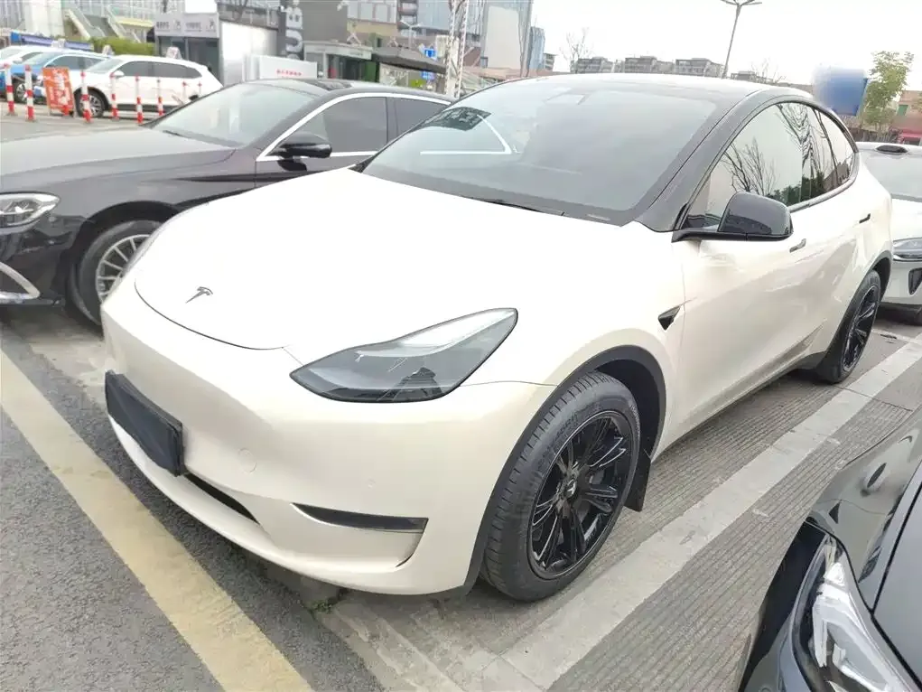 Tesla Model Y 2021 из CN, фото 8