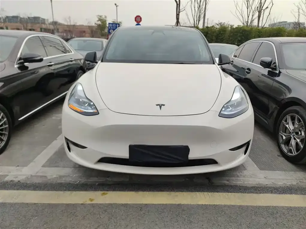 Tesla Model Y 2021 из CN, фото 6