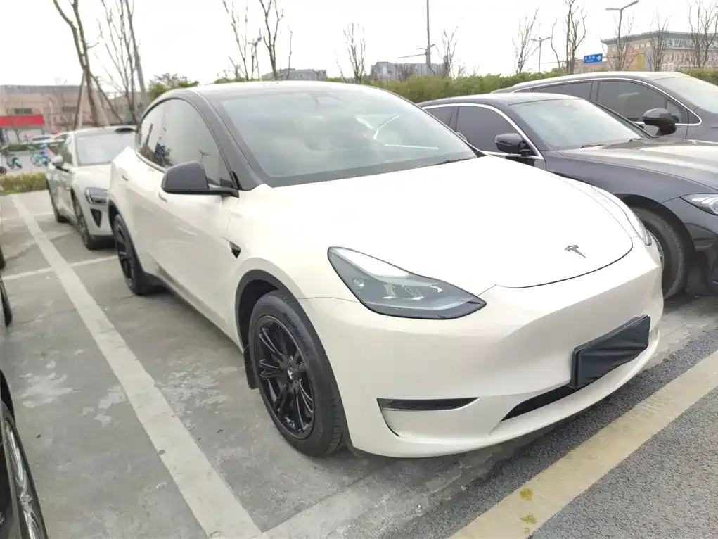 Tesla Model Y 2021 из CN, фото 3