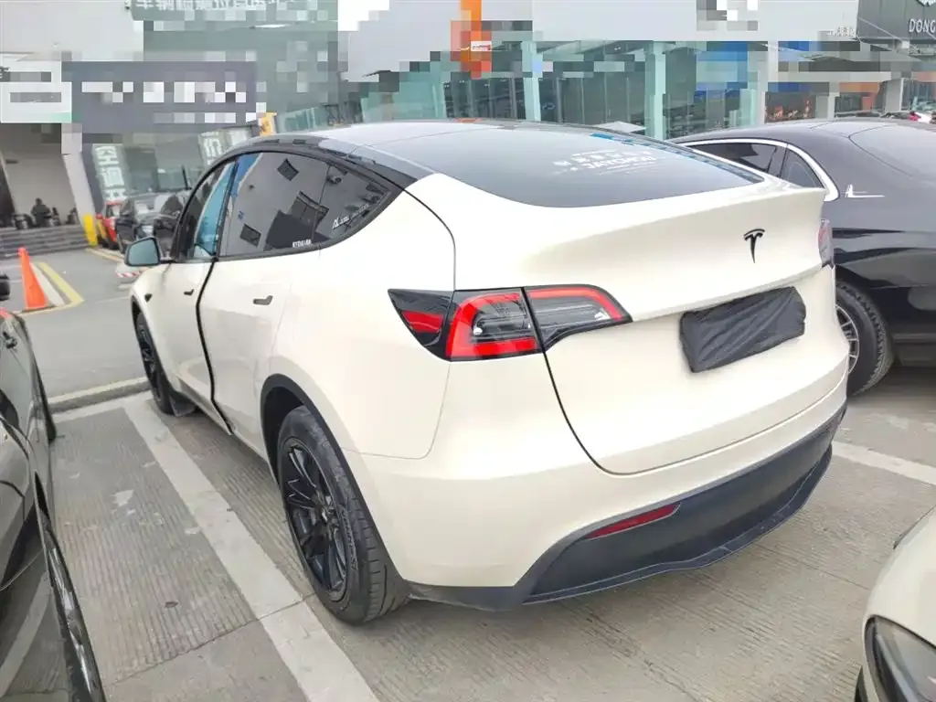 Tesla Model Y 2021 из CN, фото 7