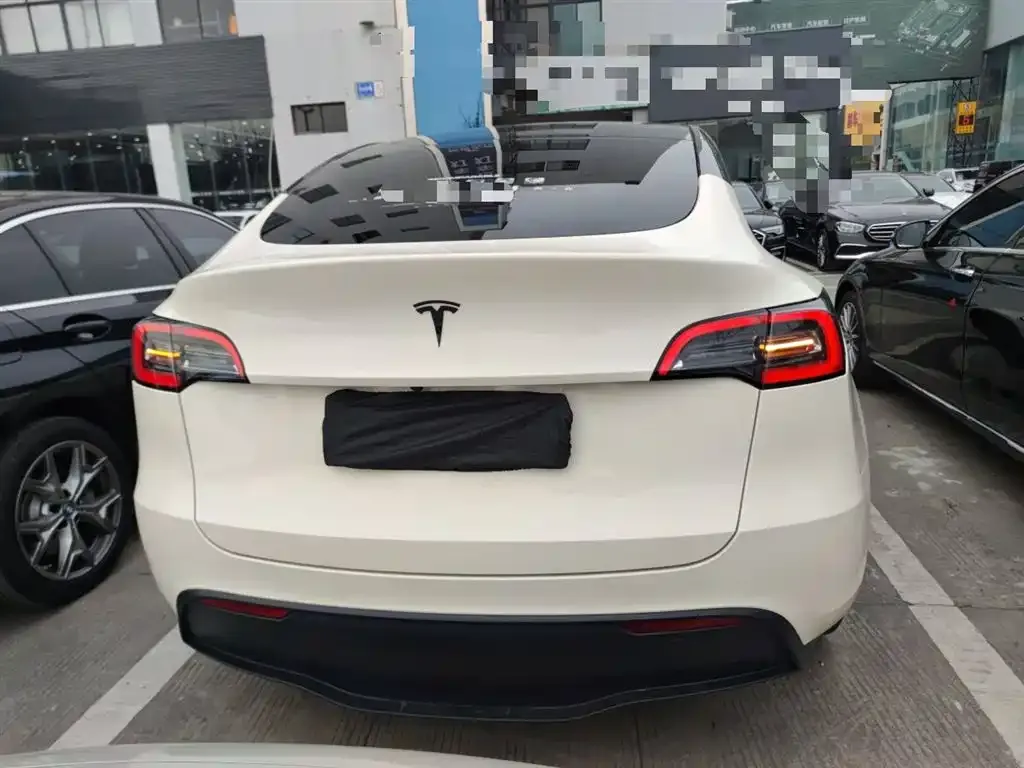 Tesla Model Y 2021 из CN, фото 5