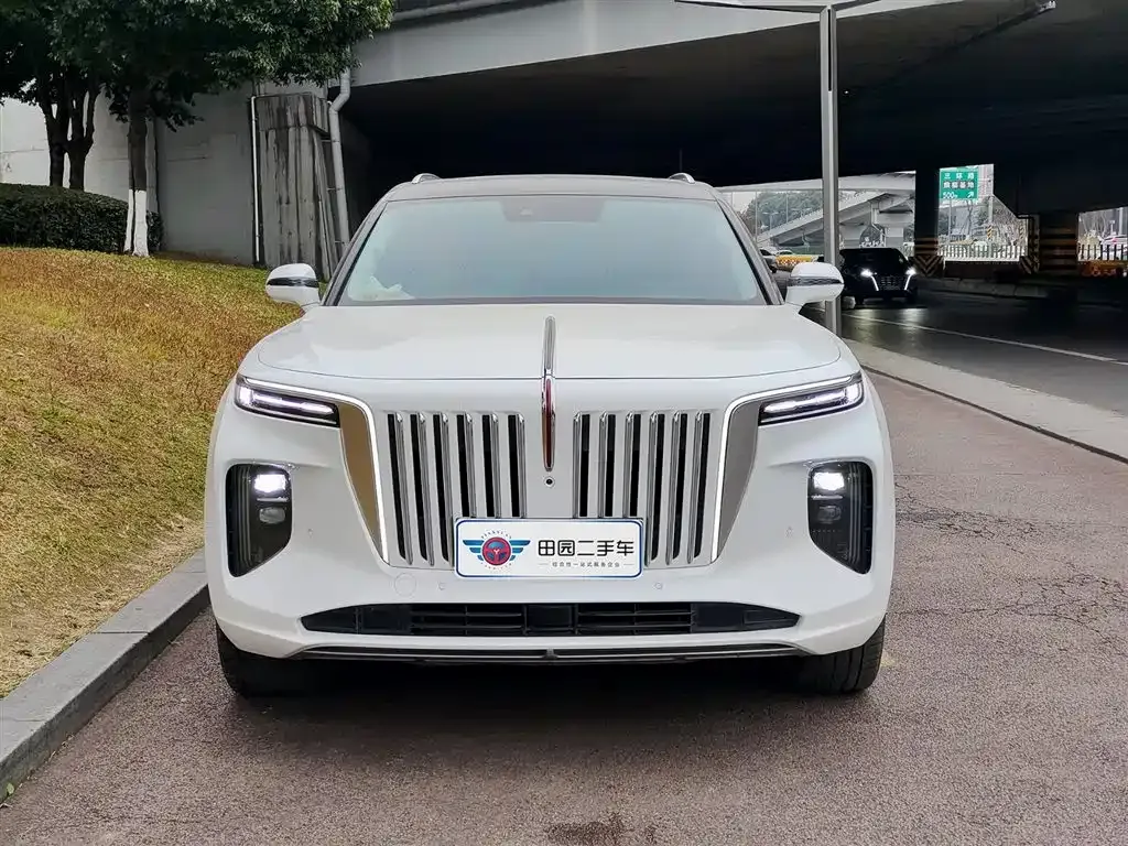 Hongqi E-HS9 2024 из CN, фото 4