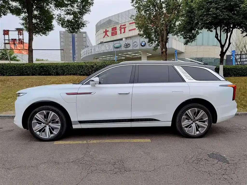 Hongqi E-HS9 2024 из CN, фото 5