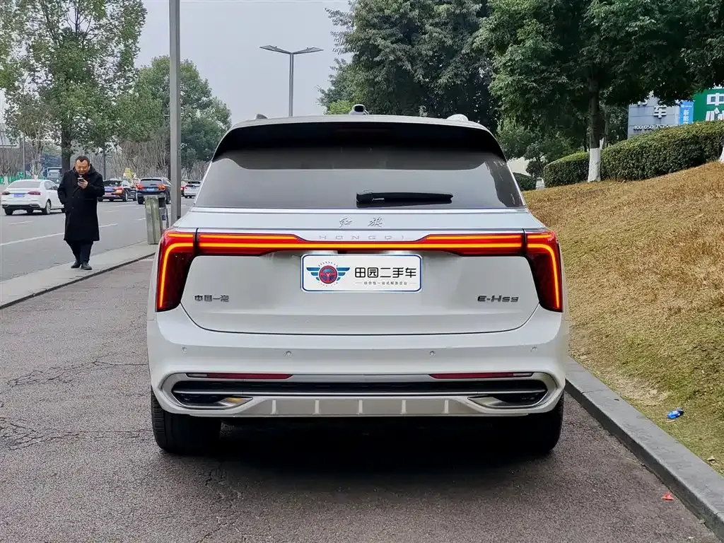 Hongqi E-HS9 2024 из CN, фото 3
