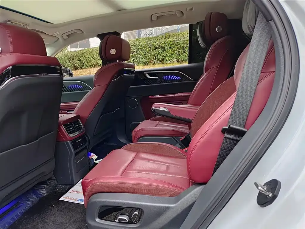 Hongqi E-HS9 2024 из CN, фото 2