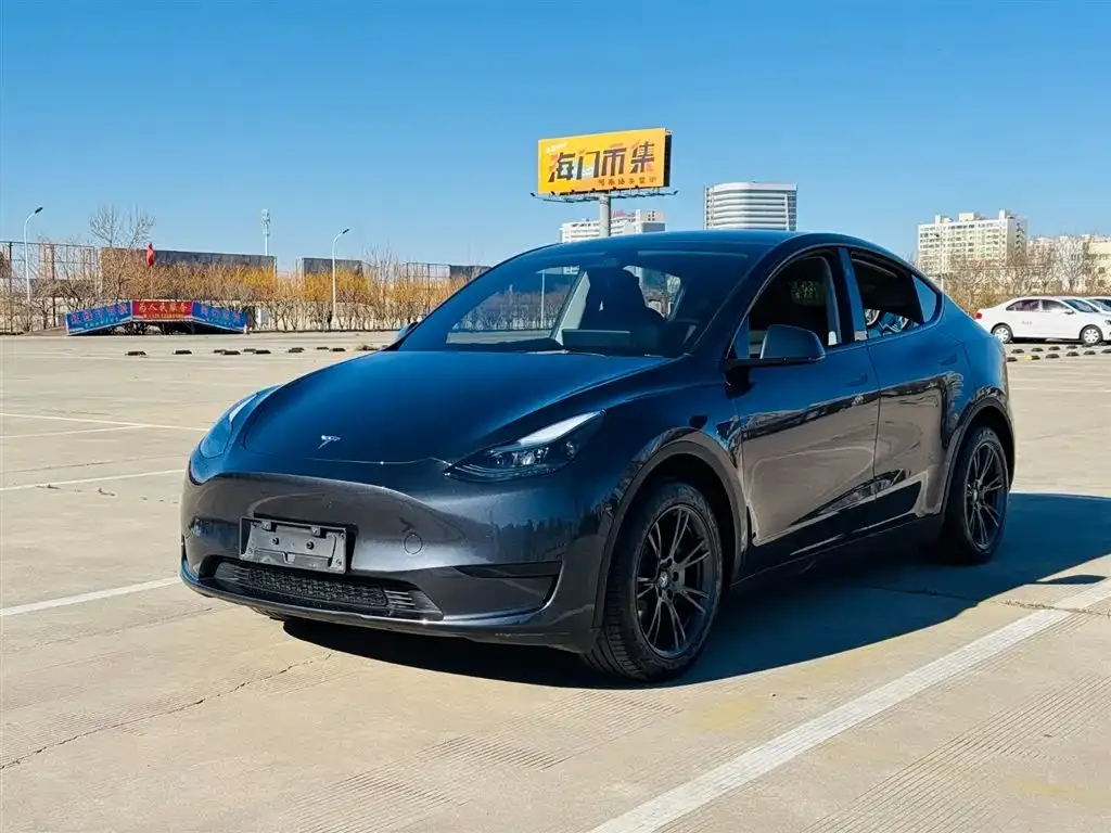 Tesla Model Y — фото 1