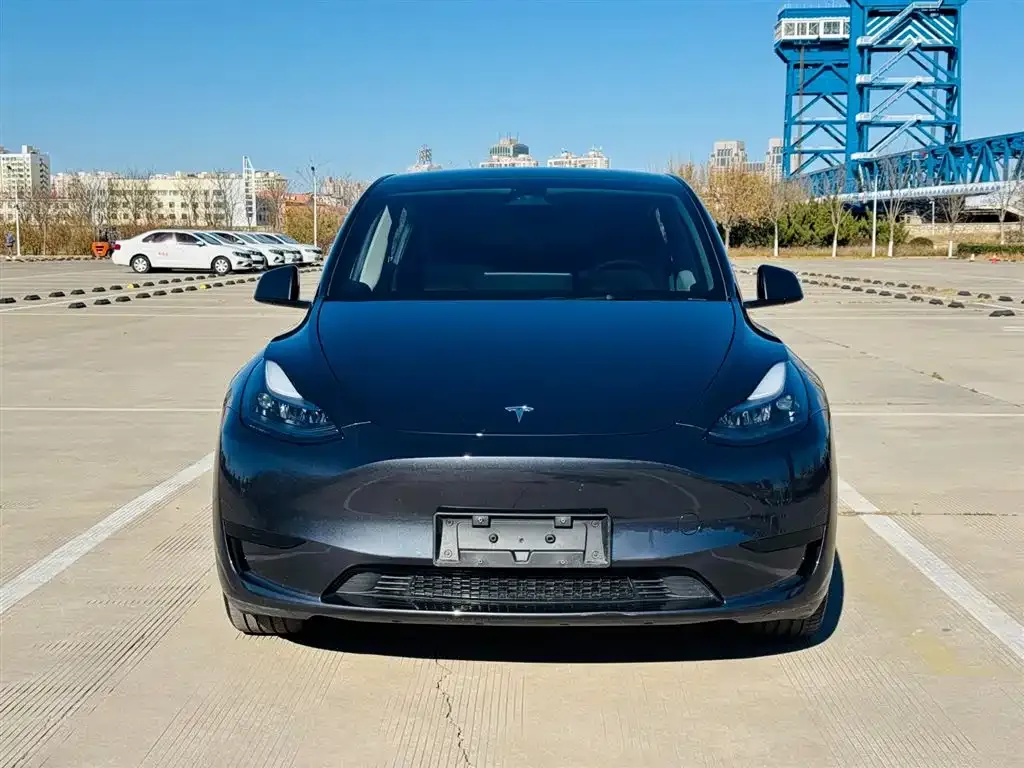 Tesla Model Y — фото 9