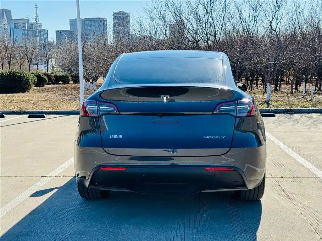 Tesla Model Y — фото 4