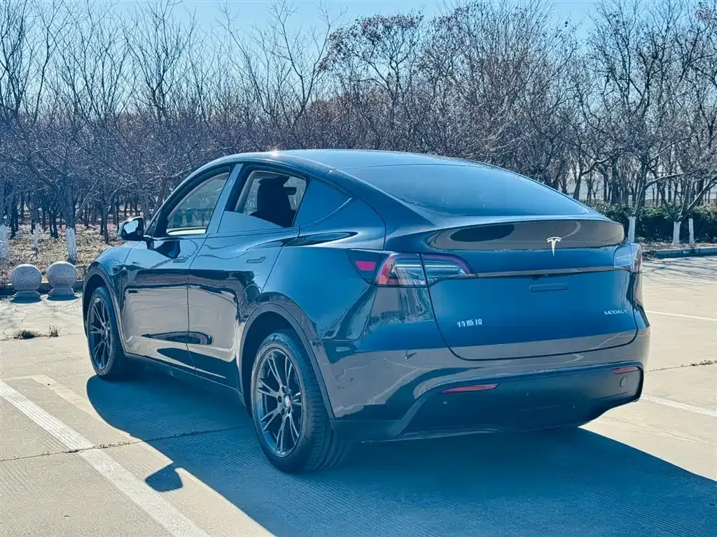 Tesla Model Y — фото 6