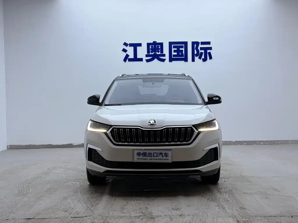 Skoda Kamiq 2022 из CN, фото 2