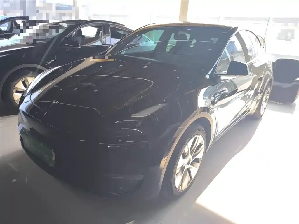 Tesla Model Y 2021 из CN, фото 3