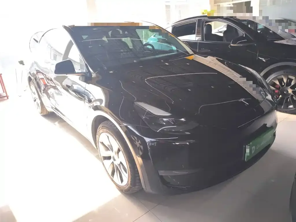 Tesla Model Y 2021 из CN, фото 2