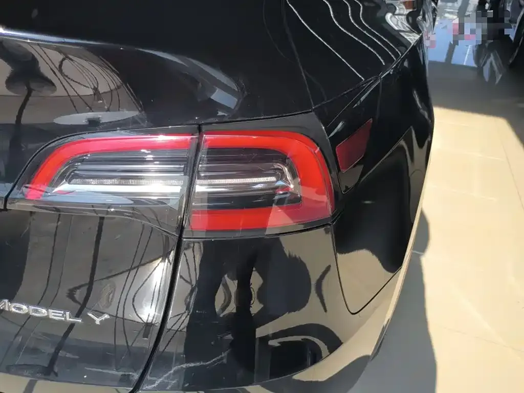 Tesla Model Y 2021 из CN, фото 4