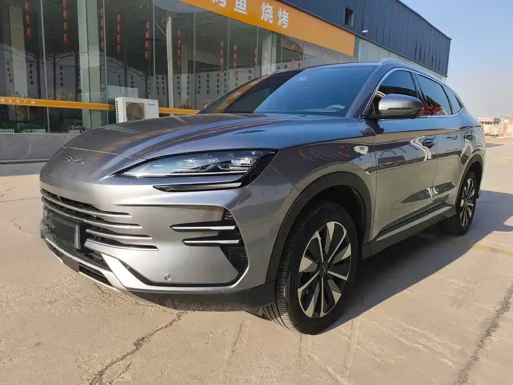 BYD PLUS New Energy 2025 из CN, фото 1