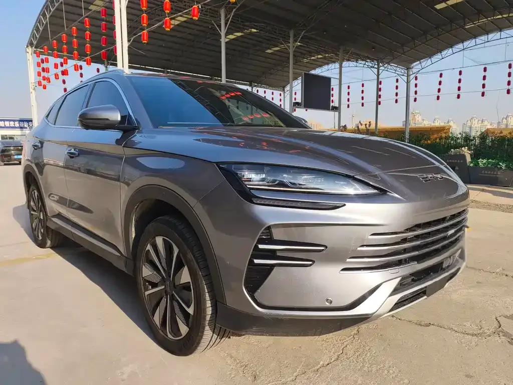 BYD PLUS New Energy 2025 из CN, фото 10