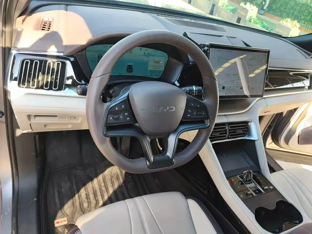 BYD PLUS New Energy 2025 из CN, фото 8