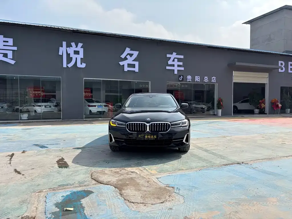 BMW 5 Series 2023 из CN, фото 6