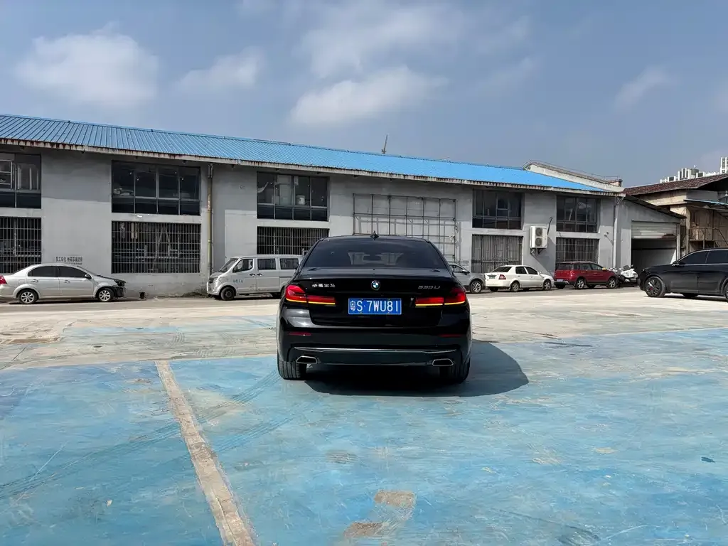 BMW 5 Series 2023 из CN, фото 4